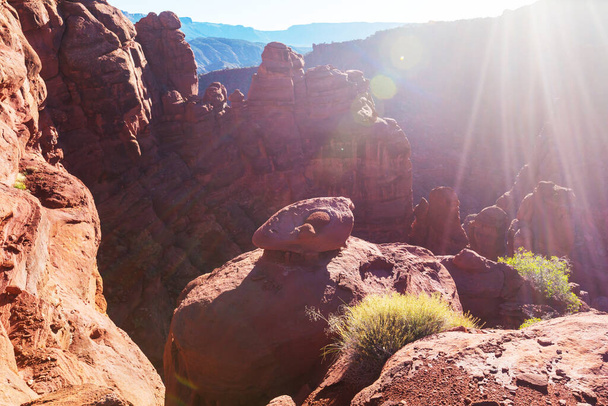 ユタ州での砂岩の形成。美しい珍しい風景. - 写真・画像