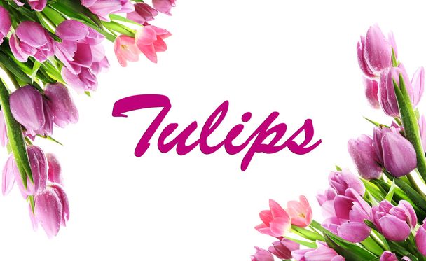 Collage of beautiful tulips isolated on white - Foto, Imagem