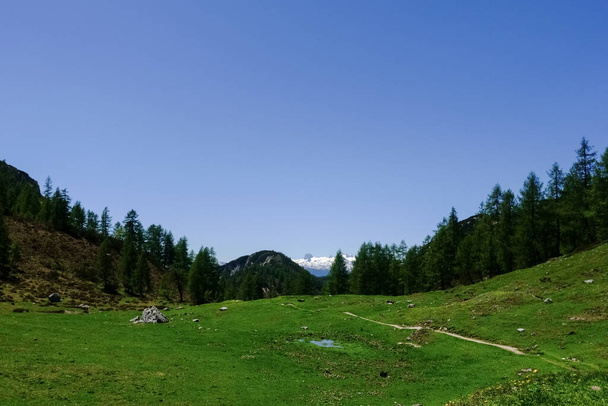туристическая тропа на свежем зеленом лугу и горный хребет на заднем плане - Фото, изображение