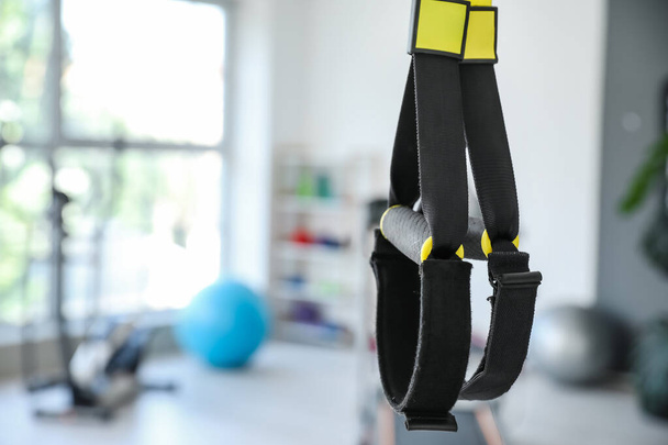 TRX straps in modern gym - 写真・画像