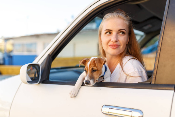 Blond Vrouw en hond Jack Russell in de auto op zomerreizen. Vakantie met huisdier concept. - Foto, afbeelding