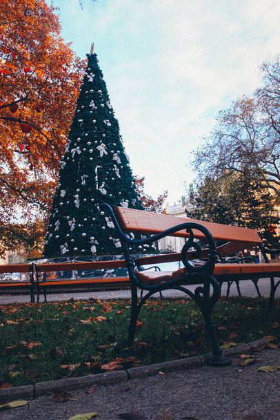 Christmas tree in Rathauspark, Vienna. - 写真・画像