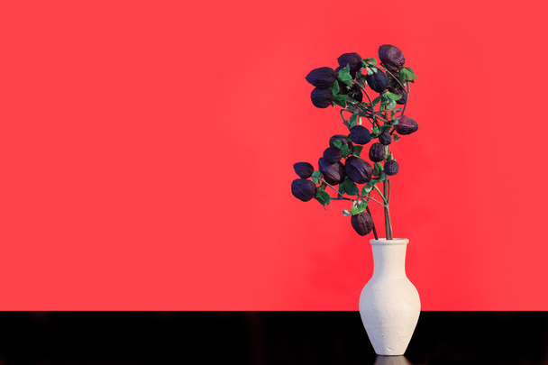 Квітка на червоний
 - Фото, зображення