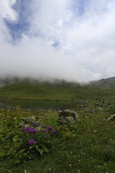 ギトー高原は黒海で最も平和的な活動の一つとして、自然を愛するすべての人が一生に一度は体験すべき場所です。. - 写真・画像