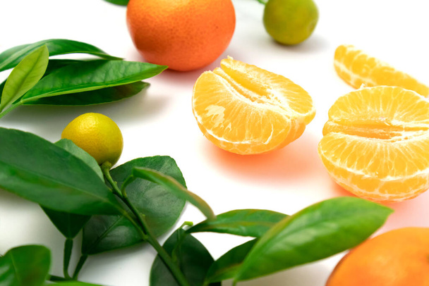 Mandarini o clementine con foglie su fondo bianco. Vista dall'alto. - Foto, immagini