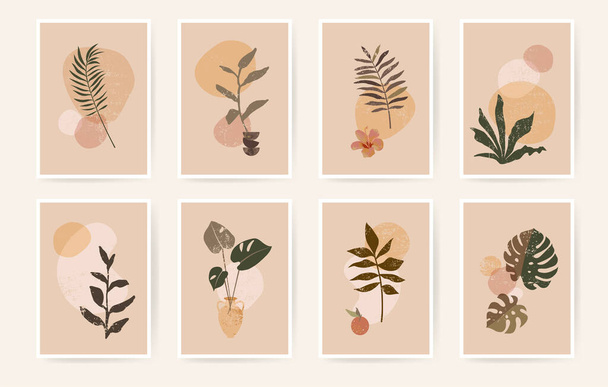 Boho aesthetic abstract botanical wall art poster prints. Scandinavian design, neutral natural colors. Bohemian collage wall prints. Mid Century Modern design. Plant fruit posters vintage illustration - Vector, Imagen