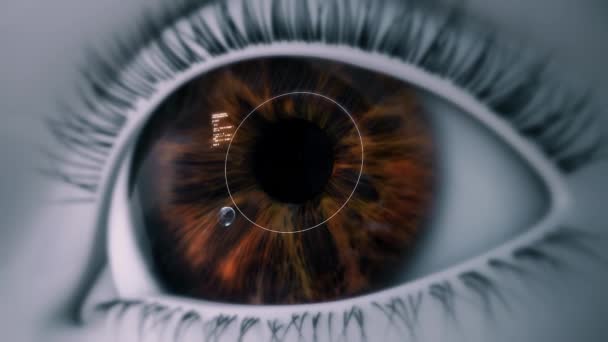 Έξυπνος φακός επαφής συσκευών υψηλής τεχνολογίας ματιών 4K - Πλάνα, βίντεο