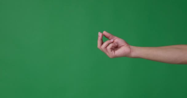 Рука просит денег на зеленом фоне - Кадры, видео