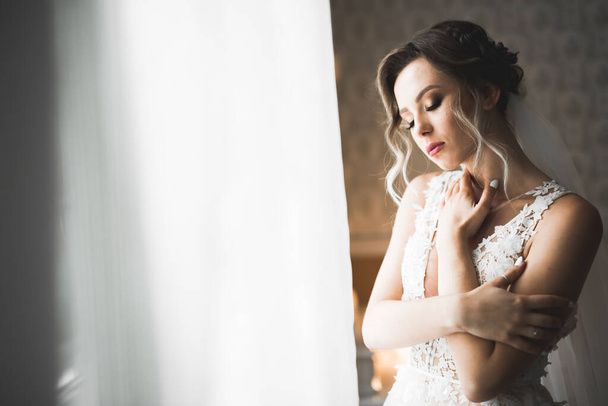 Beautiful bride wearing fashion wedding dress with feathers with luxury delight make-up and hairstyle, studio indoor photo shoot - Fotoğraf, Görsel