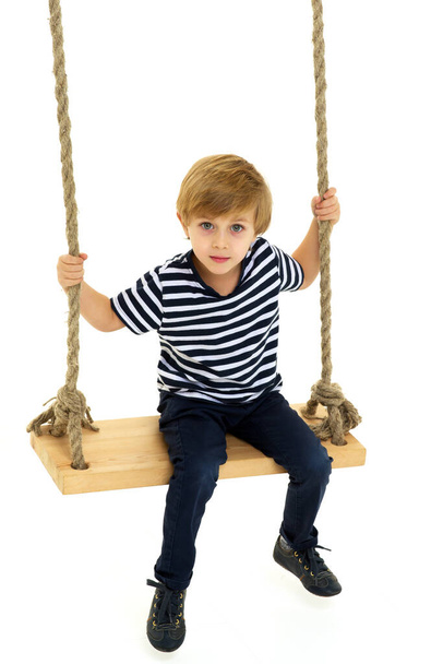 Cute boy sitting on rope swing - 写真・画像