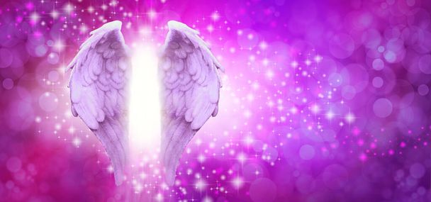 Purple Pink Sparkle Angel Wings Message Board - ζεύγος φτερά αγγέλου στην αριστερή πλευρά με τυχαία λευκό και ροζ λάμψη σε ένα ζωντανό ροζ μωβ bokeh φόντο και αντίγραφο χώρου - Φωτογραφία, εικόνα