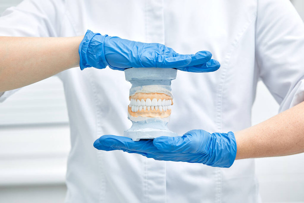 Una dentista sostiene un modelo de mandíbula en su mano - Foto, Imagen