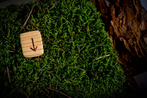 Tiwazská runa vytesaná ze dřeva. Runy leží na mechu a kůře. Runový symbol je spálený na kusu dřeva. - Fotografie, Obrázek