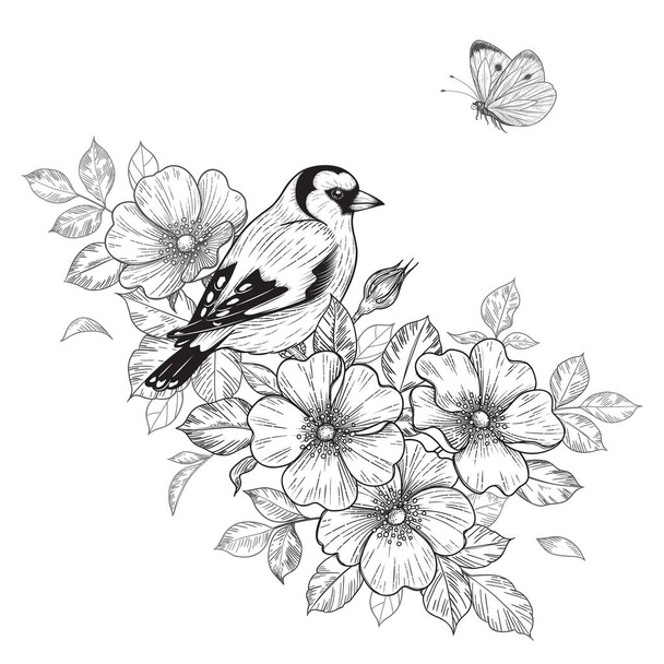 Hand drawn goldfinch sitting on Dog-Rose branch with flowers and flying butterfly. Vector monochrome elegant floral arrangement with bird in vintage style, t-shirt, tattoo design, coloring page. - Vektor, kép