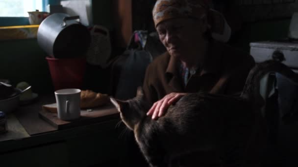 Vidéo 4K cinématique déconcentrée sur une vieille femme caresse un chat sur ses genoux - Séquence, vidéo