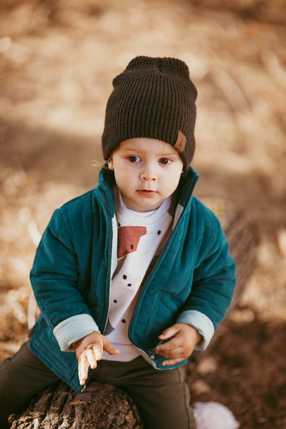 a two-year-old boy in a hat and jacket sits on a log in a Pine forest against the setting sun. - Foto, imagen