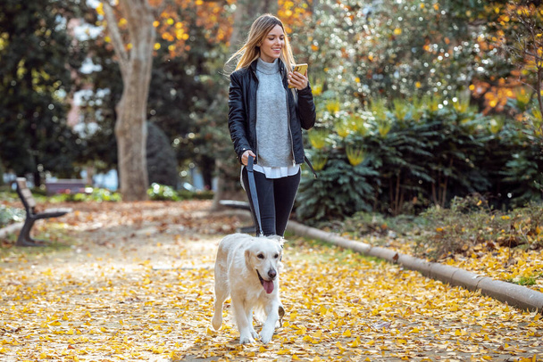 Shot of attractive young woman walking with her lovely golden retriever dog while using her smart phone in the park in autumn. - Fotó, kép