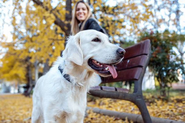 Shot of attractive young woman caring and playing with her beautiful golden retriever dog while sitting on bench in the park - Фото, зображення