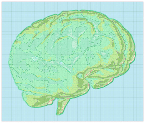 Geographic map of the brain, reworking of the human brain in the form of a map. Concept. CT scan. 3d render. Heights and orography, mountainous reliefs, valleys and terrains of the mind - Photo, Image