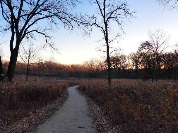 Puesta de sol en el bosque: Camino que conduce a un claro en un bosque al amanecer en una madrugada de otoño que muestra vegetación cubierta de heladas y de color otoño y árboles desnudos contra el cielo naranja y azul - Foto, imagen