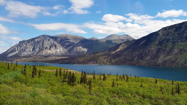 Пейзаж гор, голубых вод и зеленых деревьев на границе Аляски и Канады весной - Фото, изображение