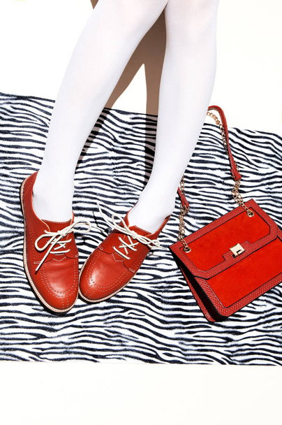 Fashion retro shoes and clutch on minimal zebra print background. Stylish accessories concept - Фото, зображення