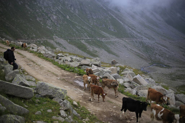 Náhorní plošina Hazindak a pohoří Kakar - Fotografie, Obrázek