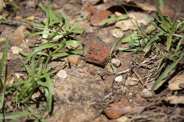 Złamany murowany ściółka w brudzie w pobliżu trawy - Zdjęcie, obraz