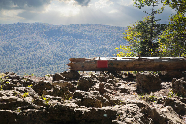 Una cerca de tronco de árbol en el borde de un acantilado en una roca. - Foto, Imagen