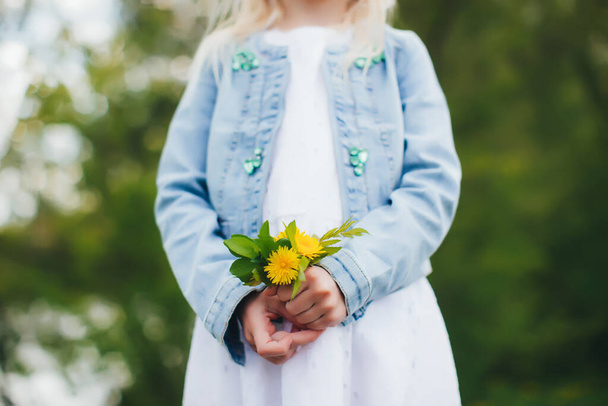 Petite fille tient des fleurs de camomille jaune - Photo, image
