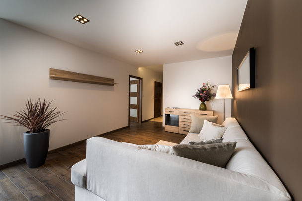 moderní obývací pokoj v bronzové barvě  - Fotografie, Obrázek
