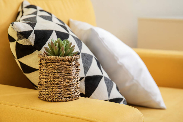 Ψάθινο καλάθι με houseplant και μαξιλάρια στον χρωματικό καναπέ - Φωτογραφία, εικόνα