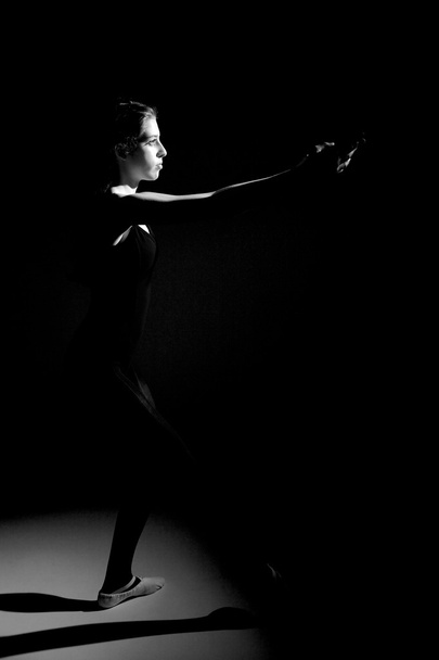 Classic ballerina posing - Zdjęcie, obraz