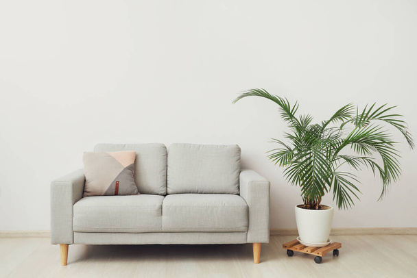 Stilvolles Sofa im Wohnzimmer - Foto, Bild