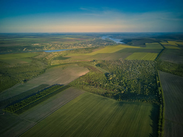 Luftaufnahme über den landwirtschaftlichen Feldern bei Sonnenuntergang - Foto, Bild