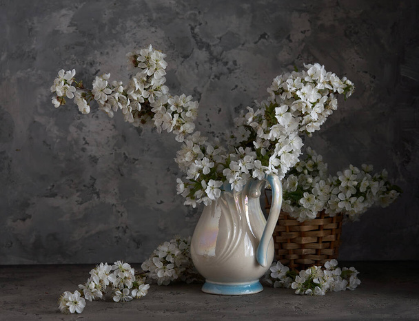 Fleurs de cerisier en vase blanc sur fond gris. Printemps nature morte. - Photo, image