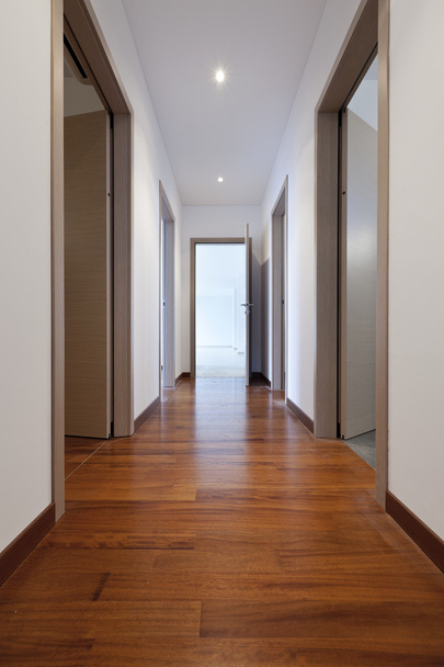 Empty corridor with open doors - Fotografie, Obrázek