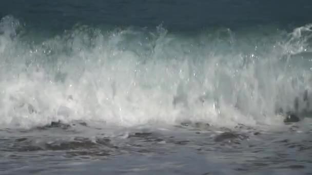 golven op het strand. - Video