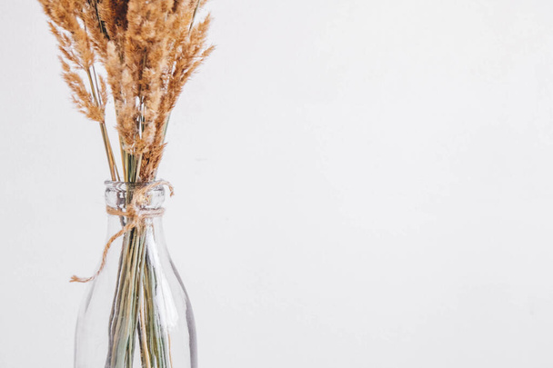 Still life of a bouquet of dried flowers in a glass bottle on a white background. Place for text or advertising. - Foto, Imagen