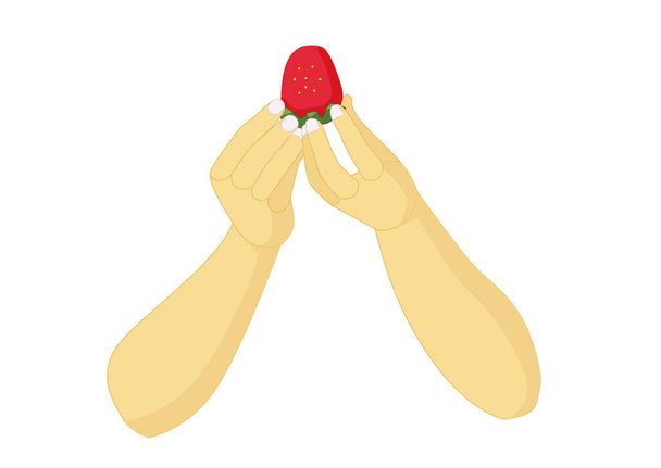 fraise à la main sur fond blanc illustration vecteur - Photo, image