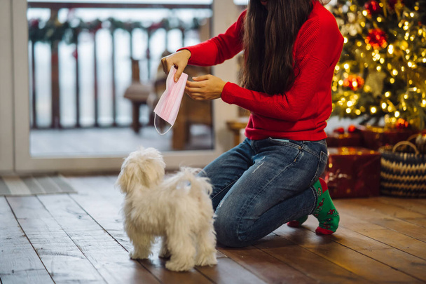 La veille du Nouvel An, une femme joue avec un petit chien. - Photo, image