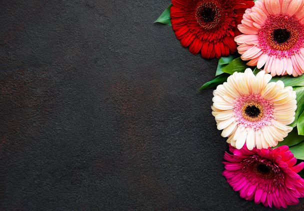 Gerbera lumineux fleurit sur un fond de béton noir. Cadre de fleurs, vue de dessus - Photo, image