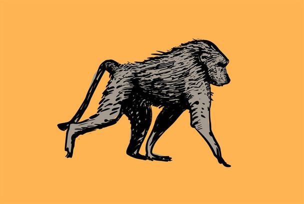 Illustration of baboon isolated on yellow background - Vecteur, image