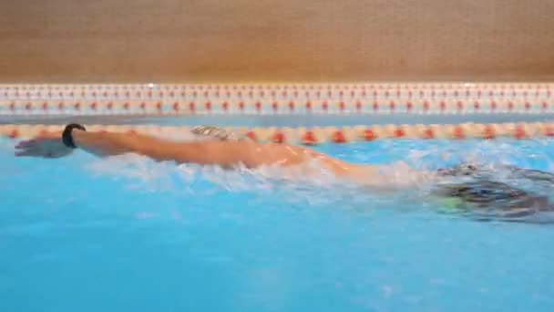 Le nageur masculin nage dans la piscine. Front crawl entraînement freestyle de l'athlète professionnel. Des éclaboussures. Vue latérale - Séquence, vidéo