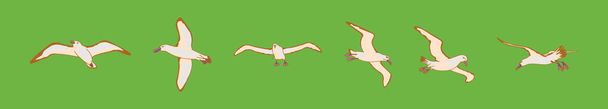 conjunto de albatroz pássaro desenho animado ícone modelo com vários modelos. ilustração vetorial moderna isolada em fundo verde - Vetor, Imagem