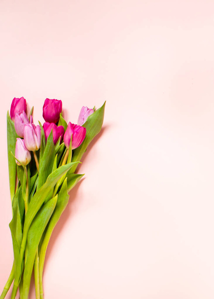 Vertical Spring composition, tulips arrangements on a pink background, top view, frame, border, pretty card with flowers for Mothers day, wedding or happy event copy space . - Photo, Image