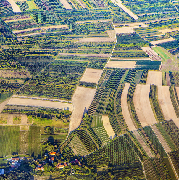 vista aérea de campos verdes e encostas
  - Foto, Imagem