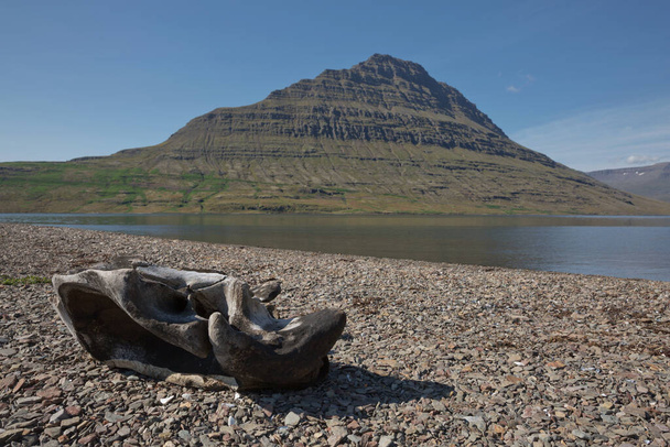 Holmatindur la poderosa e icónica montaña emblemática en la ciudad de Eskifjordur del este de Islandia con el elemento de la naturaleza en primer plano. - Foto, Imagen