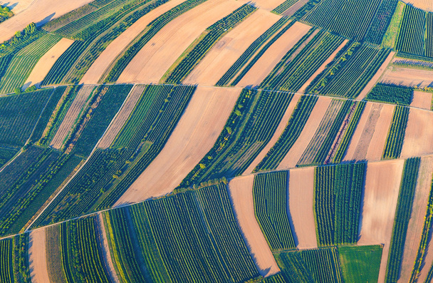 Luftaufnahme von grünen Feldern und Hängen  - Foto, Bild