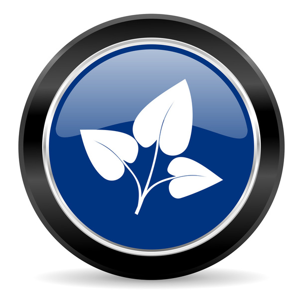 leaf icon - Фото, изображение